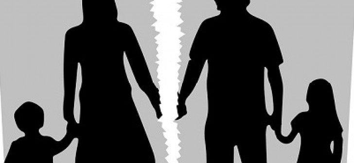 el rol del coordinador de parentalitat el rol del coordinador de parentalitat