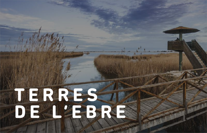 Delegació Terres de l'Ebre