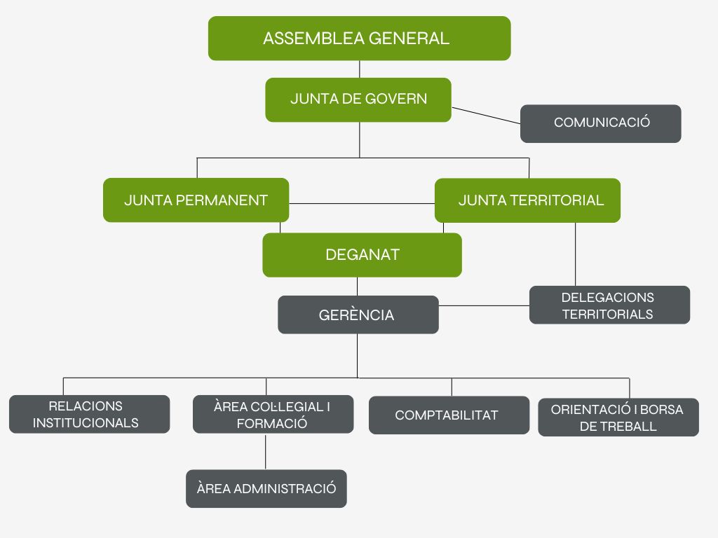 Organigrama TSCAT