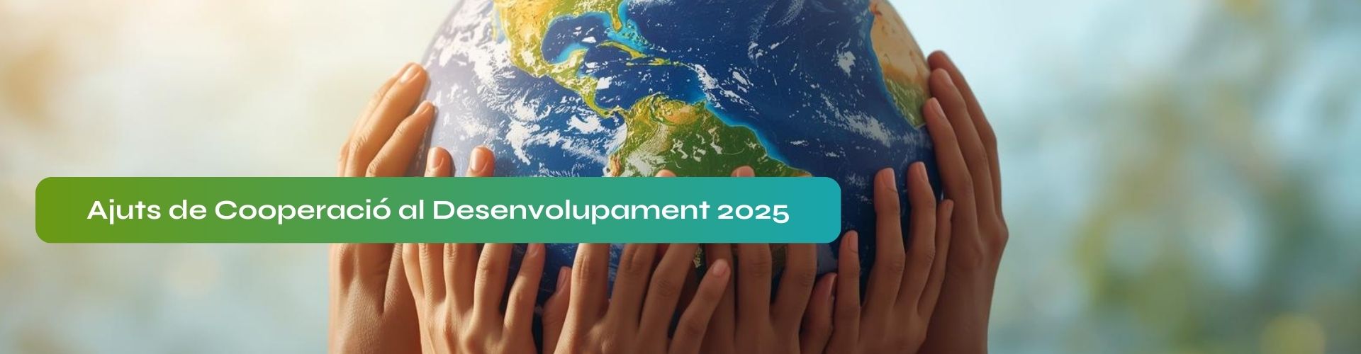 Ajudes cooperació