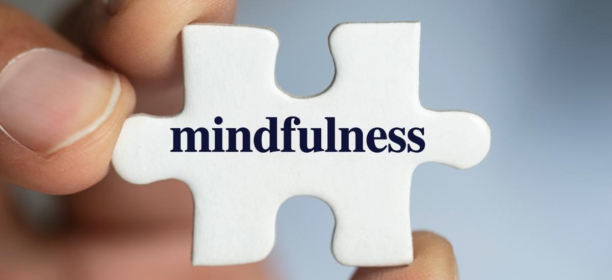 Curs Mindfulness Fundació Galatea
