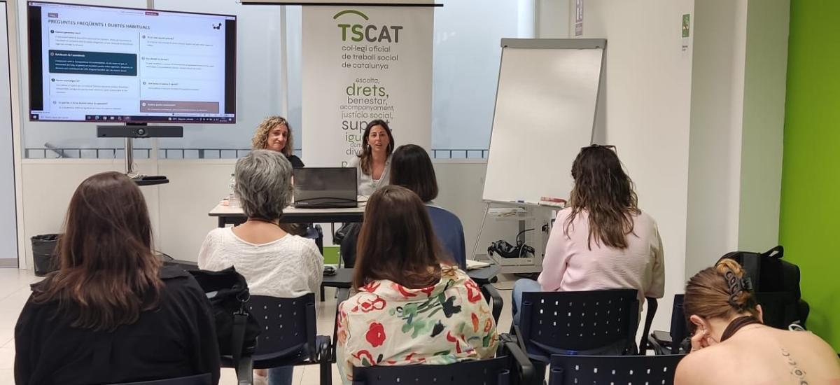 Llei 8/21. Experiència i pràctica en la intervenció 