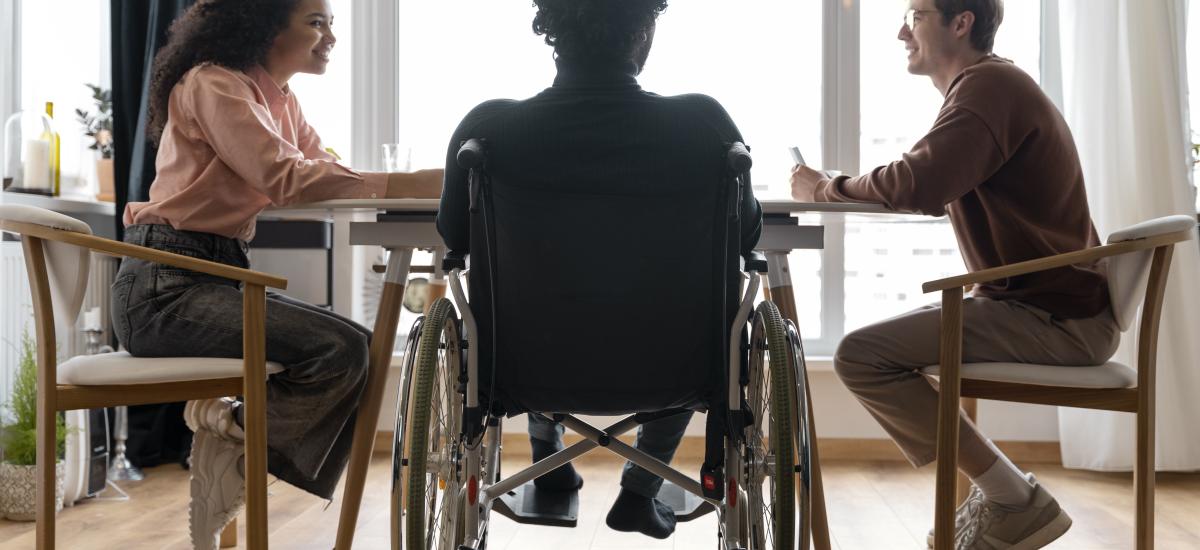 llei suport a la discapacitat