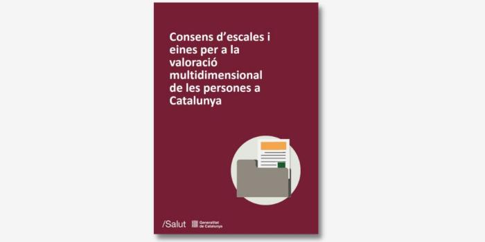 Document "Consens d’escales i eines per a la valoració multidimensional de les persones a Catalunya"