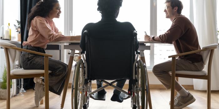 llei suport a la discapacitat